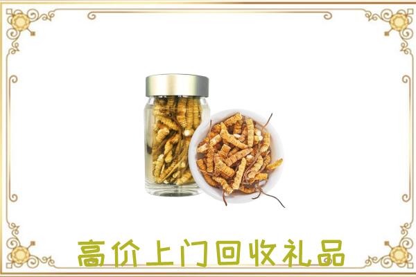 焦作周边回收虫草